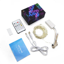 App Control RGB Color Changing Copper Wire Firefly Lights