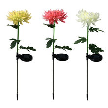 Solar Flower Stake Lights