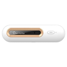 Sustainable Air Purifier