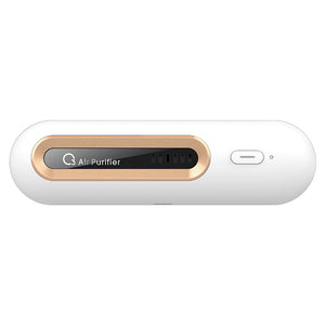 Sustainable Air Purifier