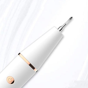 Ultrasonic Electric Tooth Scaler