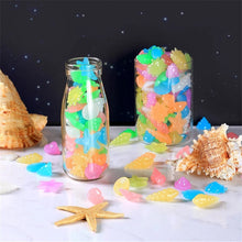 Luminous Glowing Shell Shaped Stones
