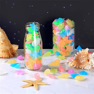 Luminous Glowing Shell Shaped Stones