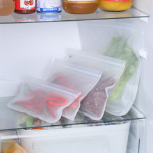 10 Pack FREE Reusable Storage Bags