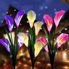 Solar Powered Calla Lily Flower Lights