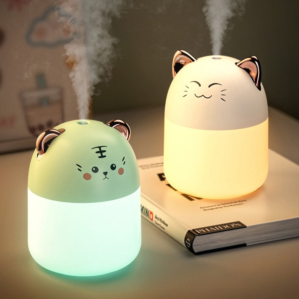 Colorful Atmosphere Light Desktop Humidifier
