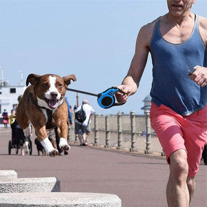 Retractable Dog Leash Set