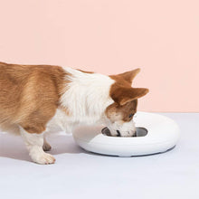 Intelligent Wet & Dry Food Dispenser 6-Compartments 180ml Cat and Dog Pet Auto-Feeder