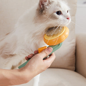 Pumpkin Brush Pet Grooming Tool