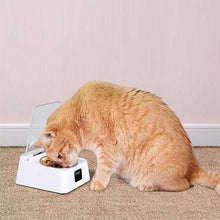 Infrared Sensor Automatically Opens Cover Cat and Dog Feeder Smart Pet Food Bowl