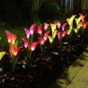 Solar Powered Calla Lily Flower Lights