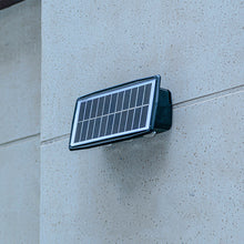 Glow Up and Down Solar Landscape Light