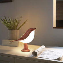 Creative Magpie Aroma Lamps