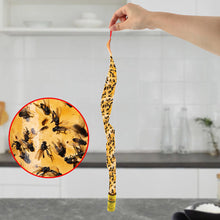 Mosquito & Insect Catchers