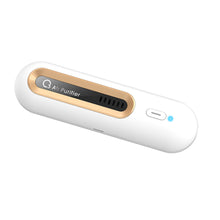Sustainable Air Purifier