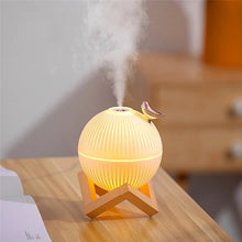 Ultrasonic Cool Mist Maker Diffuser