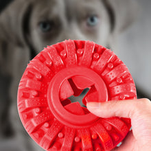 Dog Treat Dispenser Chewers Toy