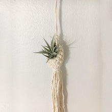 Hand-Woven Macrame Wall Hanging Planter