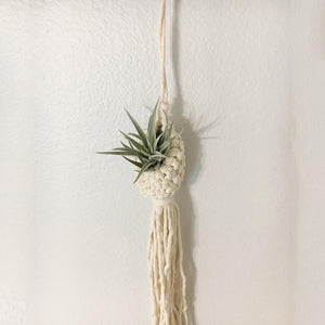 Hand-Woven Macrame Wall Hanging Planter