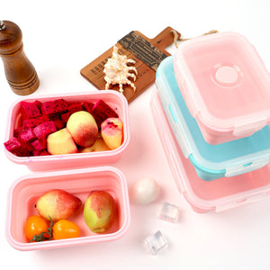 4 Sizes Silicone Collapsible Lunch Box