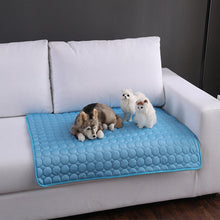 Summer Cooling Mats Ice Blanket For Pet