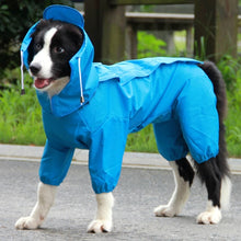 Dog Raincoat