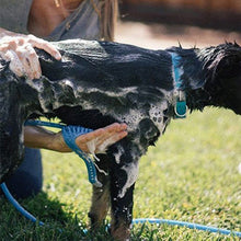 Pet Bathing Tool with Adjustable Bath Glove