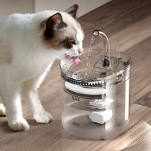 Pet Water Fountain Filter Drinker