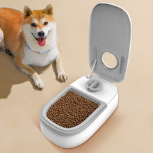 Single Meal Automatic Pet Feeder