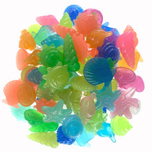 Luminous Glowing Shell Shaped Stones