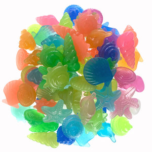 Luminous Glowing Shell Shaped Stones
