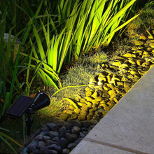 7 LED Changing Color Solar Spotlight