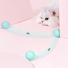 Automatic Rolling Ball Electric Pet Toy