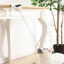 Interactive Pet Cat Toy