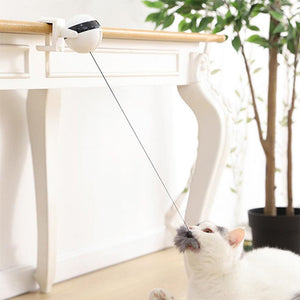 Interactive Pet Cat Toy