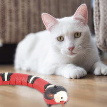 Electronic Snake Interactive Toys for Pets