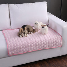 Summer Cooling Mats Ice Blanket For Pet