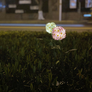 Daisy Solar Flower Light