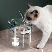 Pet Water Fountain Filter Drinker