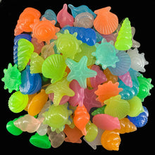 Luminous Glowing Shell Shaped Stones