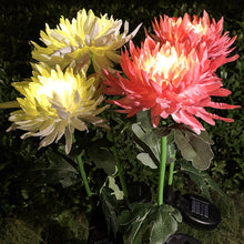 Solar Flower Stake Lights