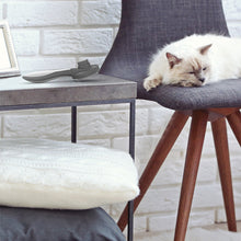 Pet Grooming Brush