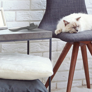 Pet Grooming Brush