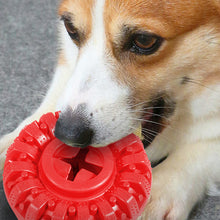 Dog Treat Dispenser Chewers Toy