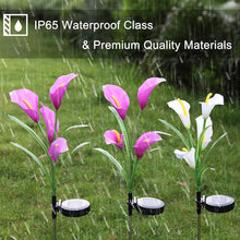 Solar Powered Calla Lily Flower Lights