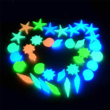 Luminous Glowing Shell Shaped Stones