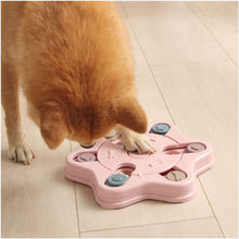 Boredom Relief Puzzle for Active Dogs