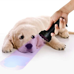 Battery Operated Purple LED Flashlight Pet Urine Detector