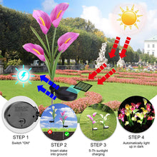 Solar Powered Calla Lily Flower Lights