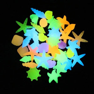 Luminous Glowing Shell Shaped Stones